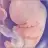 little_baby