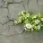 bluestone