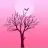 Pink25