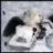butterfly_se