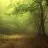 misty_