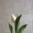 mereemin