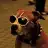 dsche_PITBULL