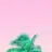 xpretty