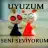 aysegul 03