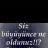 nurblc