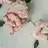nurose