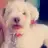 BARBAR4