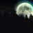 Nights