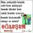 Ayse06ensar