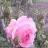 Goksay90