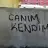 Ayseemel2016