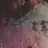 Senem005