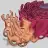 endoplazmikreticulum