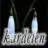 kardelenz