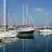 Daphne3509