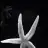 reyhan789