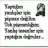 Ayse166161