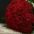 Zeynebim1212
