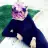 Ayse_EGd