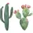 cactuslove_