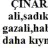 iremsu532
