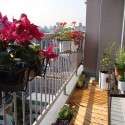 Dar balkon dekorasyonu | 27