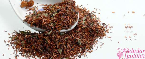 Rooibos çayı nedir?