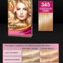 Palette Deluxe Saç Boyası renkleri kataloğu 2012 | 10