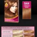 Palette Deluxe Saç Boyası renkleri kataloğu 2012 | 13