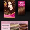 Palette Deluxe Saç Boyası renkleri kataloğu 2012 | 14