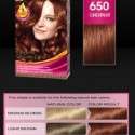 Palette Deluxe Saç Boyası renkleri kataloğu 2012 | 15