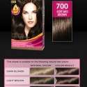 Palette Deluxe Saç Boyası renkleri kataloğu 2012 | 16