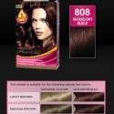 Palette Deluxe Saç Boyası renkleri kataloğu 2012 | 19