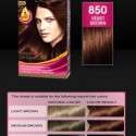 Palette Deluxe Saç Boyası renkleri kataloğu 2012 | 20