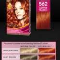 Palette Deluxe Saç Boyası renkleri kataloğu 2012 | 22