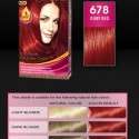 Palette Deluxe Saç Boyası renkleri kataloğu 2012 | 24