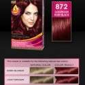 Palette Deluxe Saç Boyası renkleri kataloğu 2012 | 26