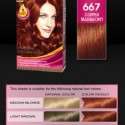 Palette Deluxe Saç Boyası renkleri kataloğu 2012 | 27