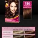 Palette Deluxe Saç Boyası renkleri kataloğu 2012 | 30