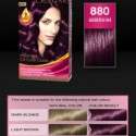 Palette Deluxe Saç Boyası renkleri kataloğu 2012 | 31