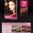 Palette Deluxe Saç Boyası renkleri kataloğu 2012 | 34