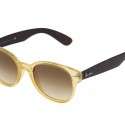 Ray-Ban Güneş Gözlükleri 2012 | 47