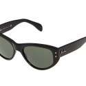 Ray-Ban Güneş Gözlükleri 2012 | 50
