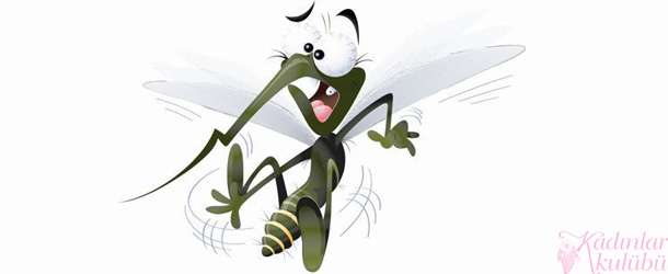 Sivrisinek Kaşıntısı Nasıl Geçer?