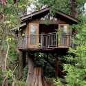 ağaçdan evler