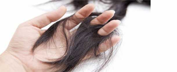 Kadinlar Kulubu Sac Bakim Urunleri Hakkinda Kk Portal