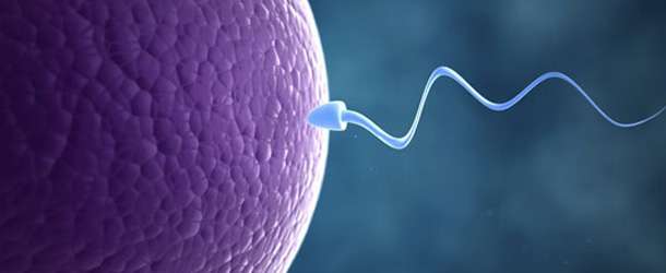 Doğum kontrolde ‘sperm ağı’ dönemi