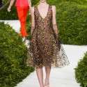Christian Dior İlkbahar-Yaz 2013 | 29