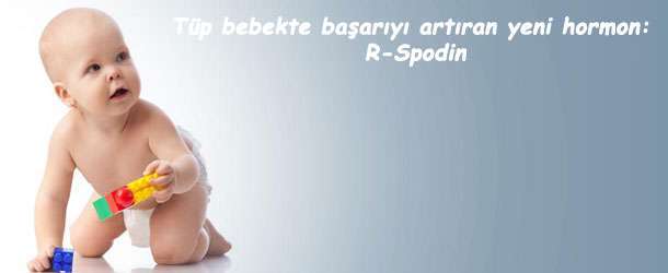 Tüp bebekte R-Spodin
